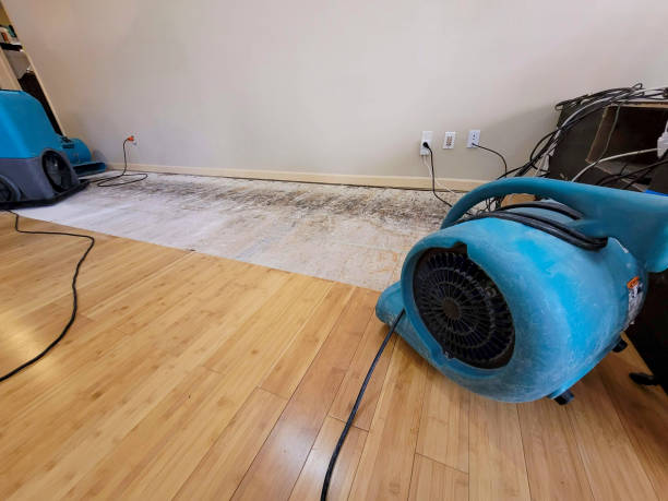 Professional Emergency Water Damage technician working in Warrenton, OR